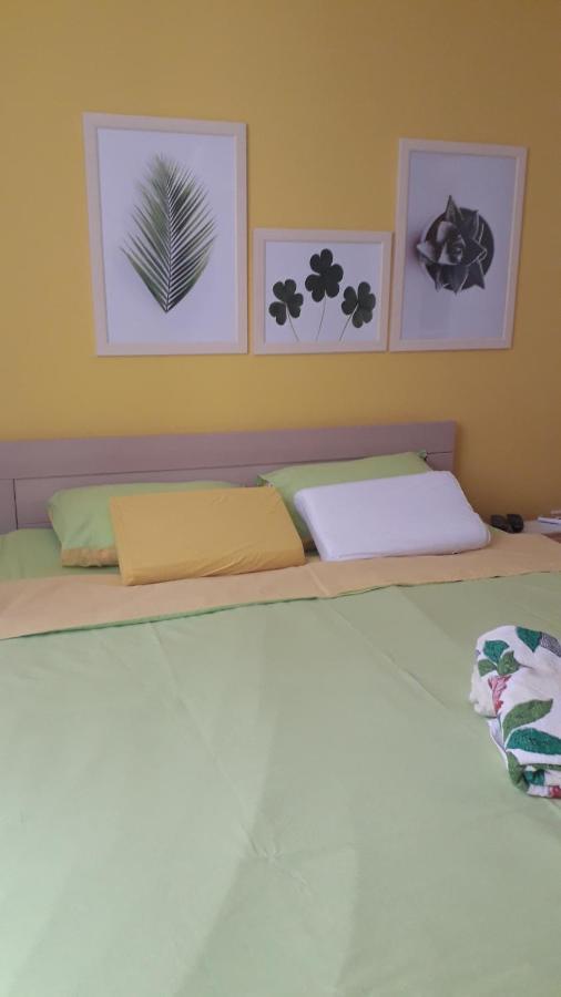 Studio Hana Novi Sad Bagian luar foto